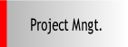 Project Mngt..